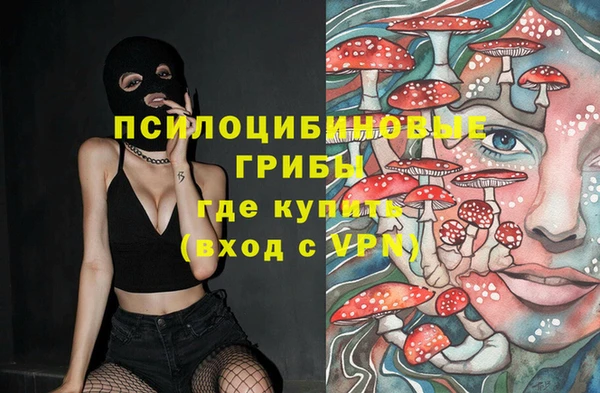 Альфа ПВП Абдулино
